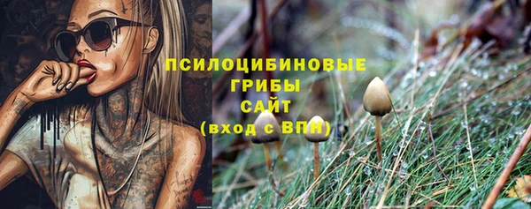 соль курить ск Лабытнанги
