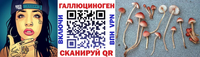Галлюциногенные грибы мицелий  Спасск 